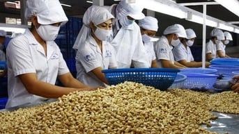 Thế mạnh Việt thu về 3,6 tỷ USD, thế 'vô địch' tại thị trường Mỹ