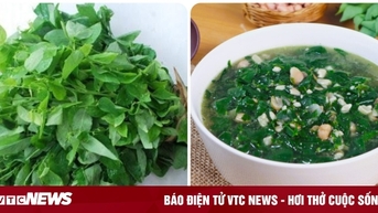 Ngày nào cũng ăn rau ngót có tốt?