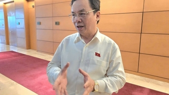 Sàn Temu bán hàng giá rẻ, đại biểu Quốc hội khuyến cáo