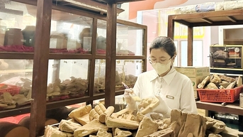 Chất chứa la liệt đồ cổ, hiện vật cổ đếm vội chả xuể ở Vĩnh Phúc chính là ở nơi này