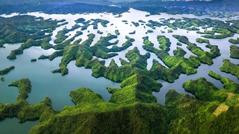 Khu rừng có hồ Tà Đùng ở Đắk Nông, Lâm Đồng có hồ, có đảo, còn la liệt động vật hoang dã đẹp mê luôn