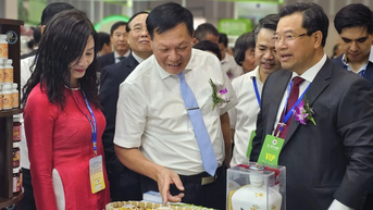 Phát triển y dược học cổ truyền theo hướng chuyên sâu