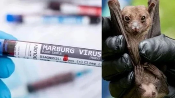 Nhiều nhân viên y tế nước ngoài nhiễm virus Marburg, Bộ Y tế chỉ đạo khẩn