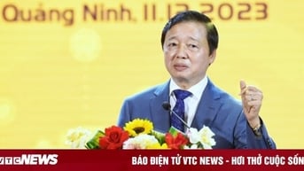 Uy tín của Việt Nam với thế giới được quyết định bởi doanh nghiệp số, kinh tế số