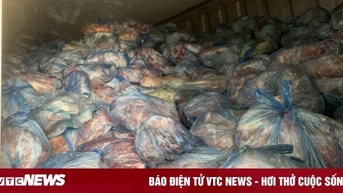 40 tấn thịt heo nhiễm bệnh, nguy cơ lây lan suýt bị tuồn ra thị trường
