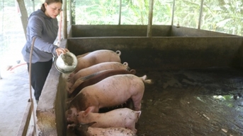 Hỗ trợ người dân cải thiện kỹ năng lao động hướng tới thoát nghèo bền vững