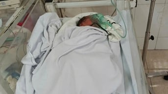 Bé gái sơ sinh bị bỏ rơi bên đường, toàn thân chi chít vết côn trùng cắn