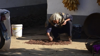 Không hề nuối tiếc mà còn thấy an tâm