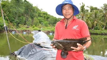ចូលព្រៃនៅគៀនយ៉ាង ខ្ញុំភ្ញាក់ផ្អើលពេលឃើញកសិករចិញ្ចឹមក្រុមយក្សបែបនេះលក់ក្នុងតម្លៃដ៏សម្បូរបែប។
