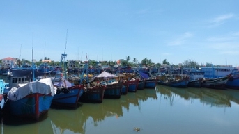 Quang Ngai លុបចោលជាបន្ទាន់នូវឧបសគ្គចំពោះគម្រោងកំពង់ផែនេសាទ 460 ពាន់លានដុង