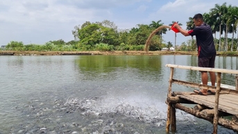 Mới đầu năm Trung Quốc đã chi tiền gấp 4,5 lần cùng kỳ năm ngoái để mua một loài cá của Việt Nam