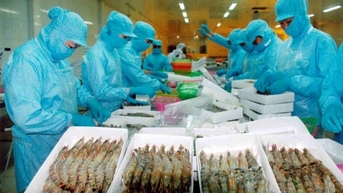 Lưu ý mới từ thị trường