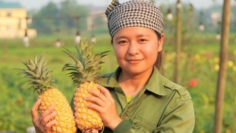 Biến đất hoang thành nông trại sản xuất rau sạch