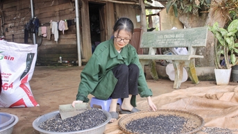 Cô học trò người Tày đam mê môn Lịch sử
