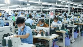 Điểm danh những nhóm sản phẩm xuất khẩu chịu tác động của Thoả thuận Xanh châu Âu