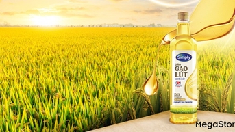 Hành trình từ hạt gạo nâu đến giọt dầu đặc biệt nuôi dưỡng trái tim