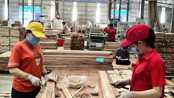 Giải bài toán nâng cao giá trị sản phẩm gỗ Việt
