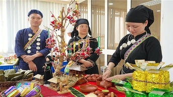 하노이 국제 음식 축제: 다채로운 요리의 "교향곡", 문화를 연결하다
