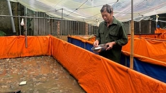 Đây là loài vật nuôi mới đang giúp các cựu chiến binh ở Lâm Đồng tăng thu nhập hẳn lên