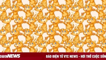 Con mèo nào đang ngậm miệng?