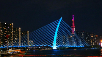 Cầu Ba Son đổi màu lung linh đêm giao thừa, nhiều người countdown 2025 hào hứng check-in