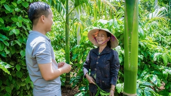 Giá cau tươi kỷ lục, đứng thứ Nhất ở Đắk Lắk, đẩy giá sầu riêng về Nhì, thực hư thế nào mà xôn xao?