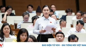 Đại biểu Quốc hội đề nghị thực hiện Luật Đất đai mới ngay trong năm nay