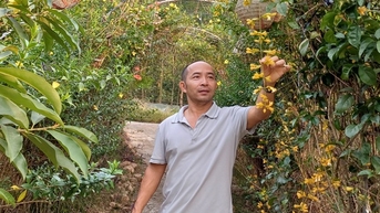 Yêu cây cối, anh nông dân Thái Nguyên tạo không gian sống xanh khiến ai đặt chân đến đều mê