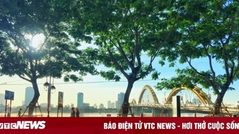 'Điểm danh' những con đường đẹp nhất Đà Nẵng