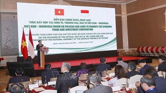 NTO - វេទិកាគោលនយោបាយ និងច្បាប់ ដើម្បីជំរុញកិច្ចសហប្រតិបត្តិការសេដ្ឋកិច្ច ពាណិជ្ជកម្ម និងវិនិយោគរវាងវៀតណាម និងចិន