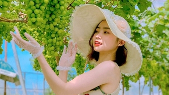 Vườn nho hạ đen trĩu quả ở ngoại thành Hà Nội thu hút người dân đến check-in mỗi ngày