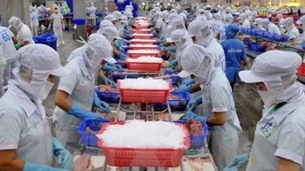 Nam Việt sắp trả cổ tức năm 2023 với tỷ lệ 5%