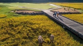 Báo nước ngoài bật mí “resort có sân golf tốt nhất Đông Nam Á” ở Việt Nam