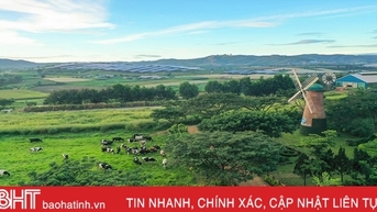 Vinamilk tiên phong trong việc hướng đến Net Zero