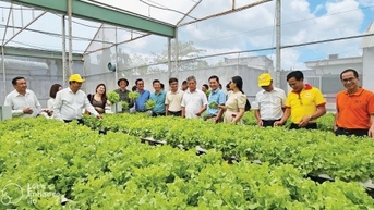Lâm Đồng hỗ trợ doanh nghiệp nhỏ và vừa trong lĩnh nông nghiệp