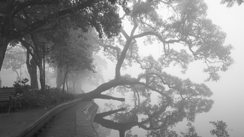 Hồ Gươm một sáng mùa đông