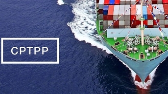 Xuất khẩu hàng hóa "nở rộ" nhờ CPTPP