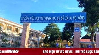 Phát hiện thầy giáo không có bằng cấp 3, phải thuê đồng nghiệp dạy thay