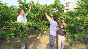 Phát huy vai trò của phụ nữ trong xây dựng nông thôn mới