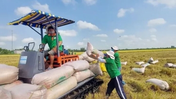 ការ​នាំ​ចេញ​អង្ករ​កើន​ជាង​៤៦%