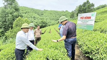 Cán bộ giỏi việc - động lực cho HTX phát triển