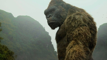 Du lịch Việt ‘chạm ngõ’ Hollywood