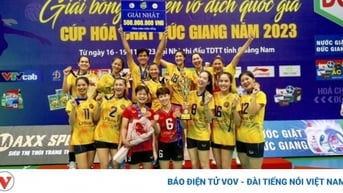 Bóng chuyền Việt Nam chuẩn bị tham dự giải đấu lớn cấp châu lục