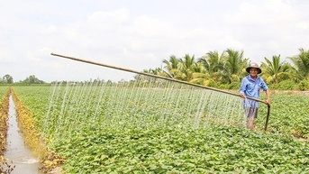 Sáng chế thiết bị tưới khoai lang chạy như mưa, ông nông dân Vĩnh Long khiến cả làng phục sát đất