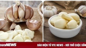 Chuyên gia chỉ ra 4 nhóm người không nên ăn tỏi