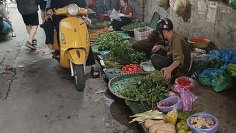 Người Hải Phòng, Quảng Ninh tích trữ thịt lợn, rau xanh trước bão số 3