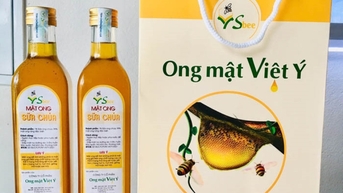 Thơm ngon mật ong sữa chúa