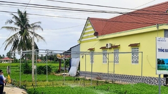Rau cần nước trồng thành công ở Bạc Liêu, thơm dễ thèm cơm, lãi gấp 7 lần so với trồng lúa