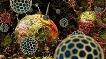 Phát triển thành công nanopolymer ngăn chặn sự phát triển của khối u ung thư