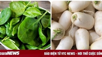 5 loại rau củ mùa đông tốt cho sức khoẻ